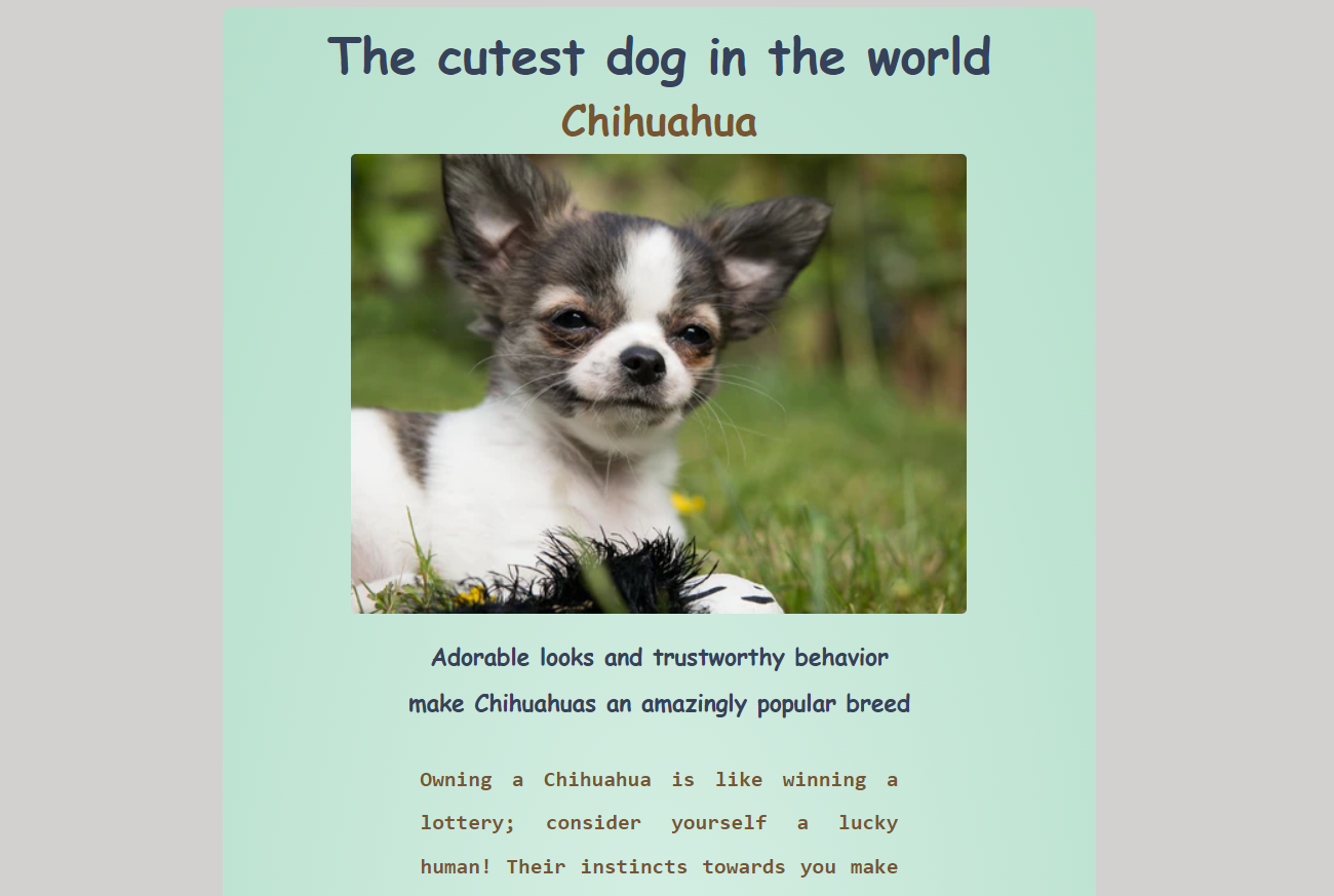 Chihuahua img